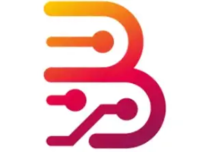 Borneo Schematics Activation Code for 1 User - 3 Months